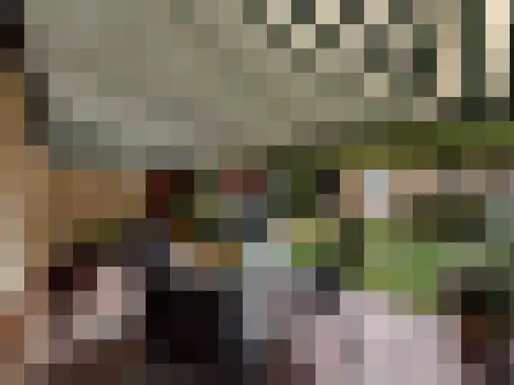 Hulstbosakker 19 Eindhoven thumbnail 37