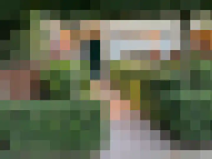 Hulstbosakker 19 Eindhoven thumbnail 40