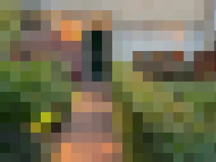 Hulstbosakker 19 Eindhoven thumbnail 41