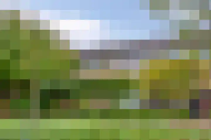 Hulstbosakker 19 Eindhoven thumbnail 42