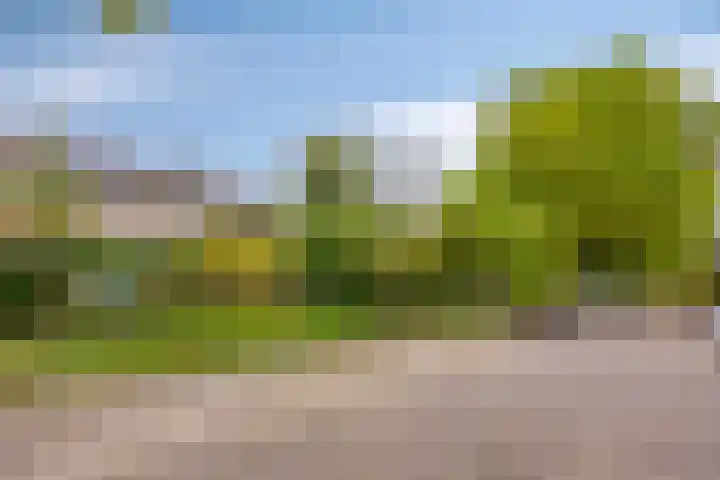Hulstbosakker 19 Eindhoven thumbnail 43