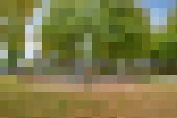 Hulstbosakker 19 Eindhoven thumbnail 44