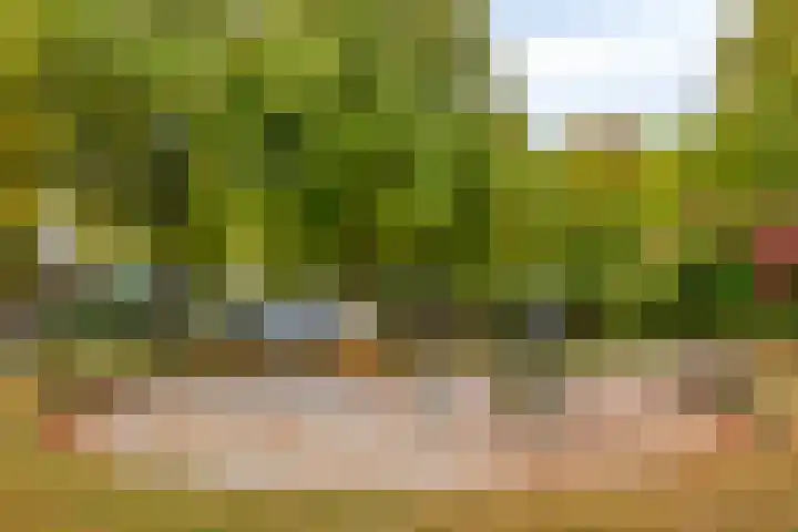 Hulstbosakker 19 Eindhoven thumbnail 45