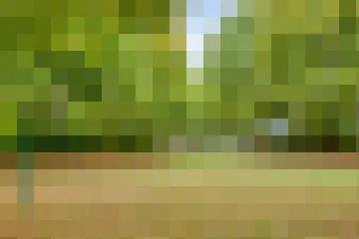 Hulstbosakker 19 Eindhoven thumbnail 46
