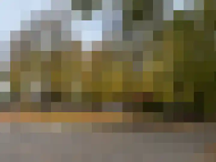 Hulstbosakker 19 Eindhoven thumbnail 47