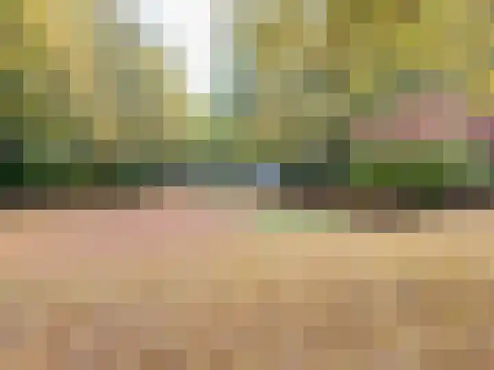 Hulstbosakker 19 Eindhoven thumbnail 48