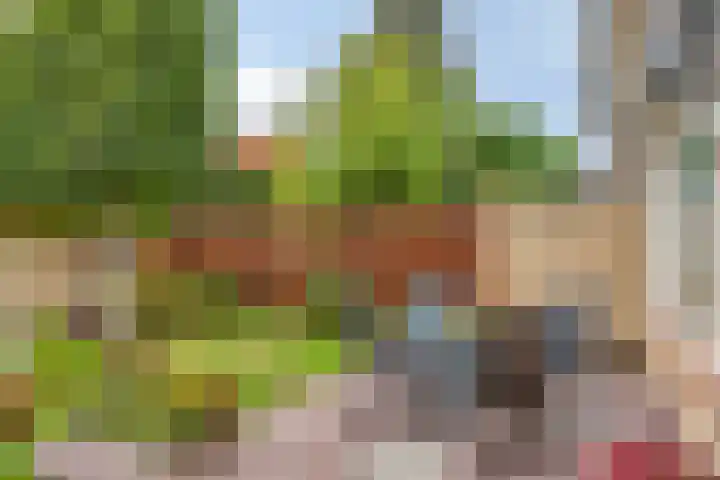 Hulstbosakker 19 Eindhoven thumbnail 6