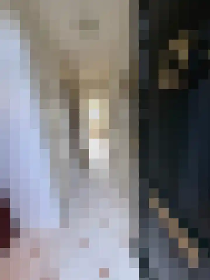 Hulstbosakker 19 Eindhoven thumbnail 7