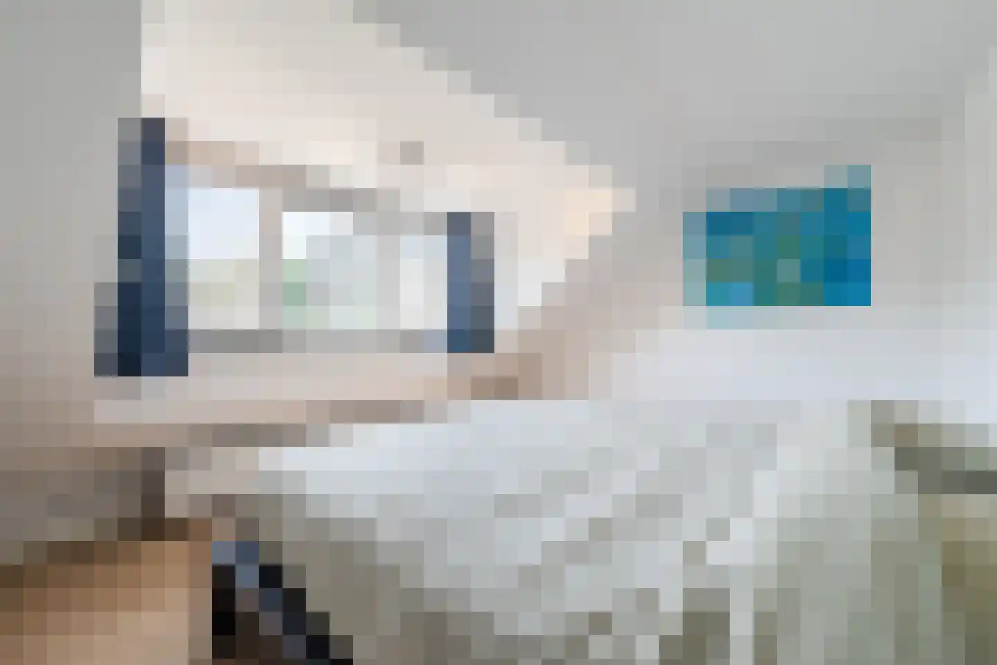 Hulstbosakker 67 Eindhoven thumbnail 30