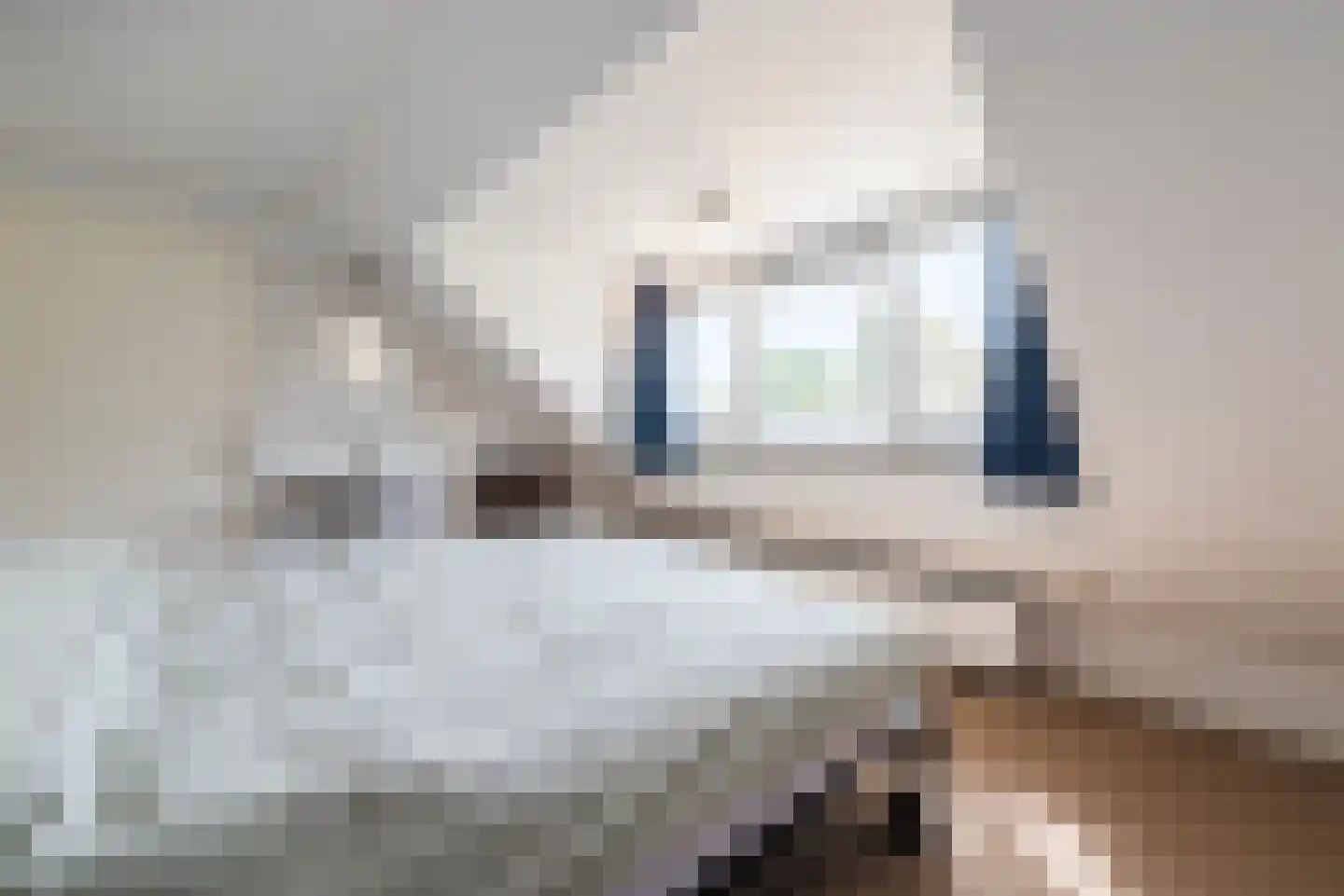 Hulstbosakker 67 Eindhoven thumbnail 31