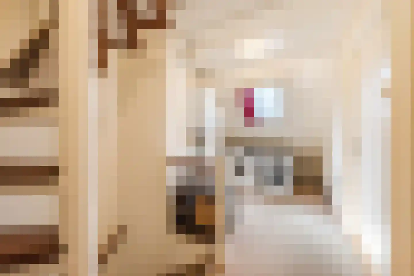 Hulstbosakker 67 Eindhoven thumbnail 33