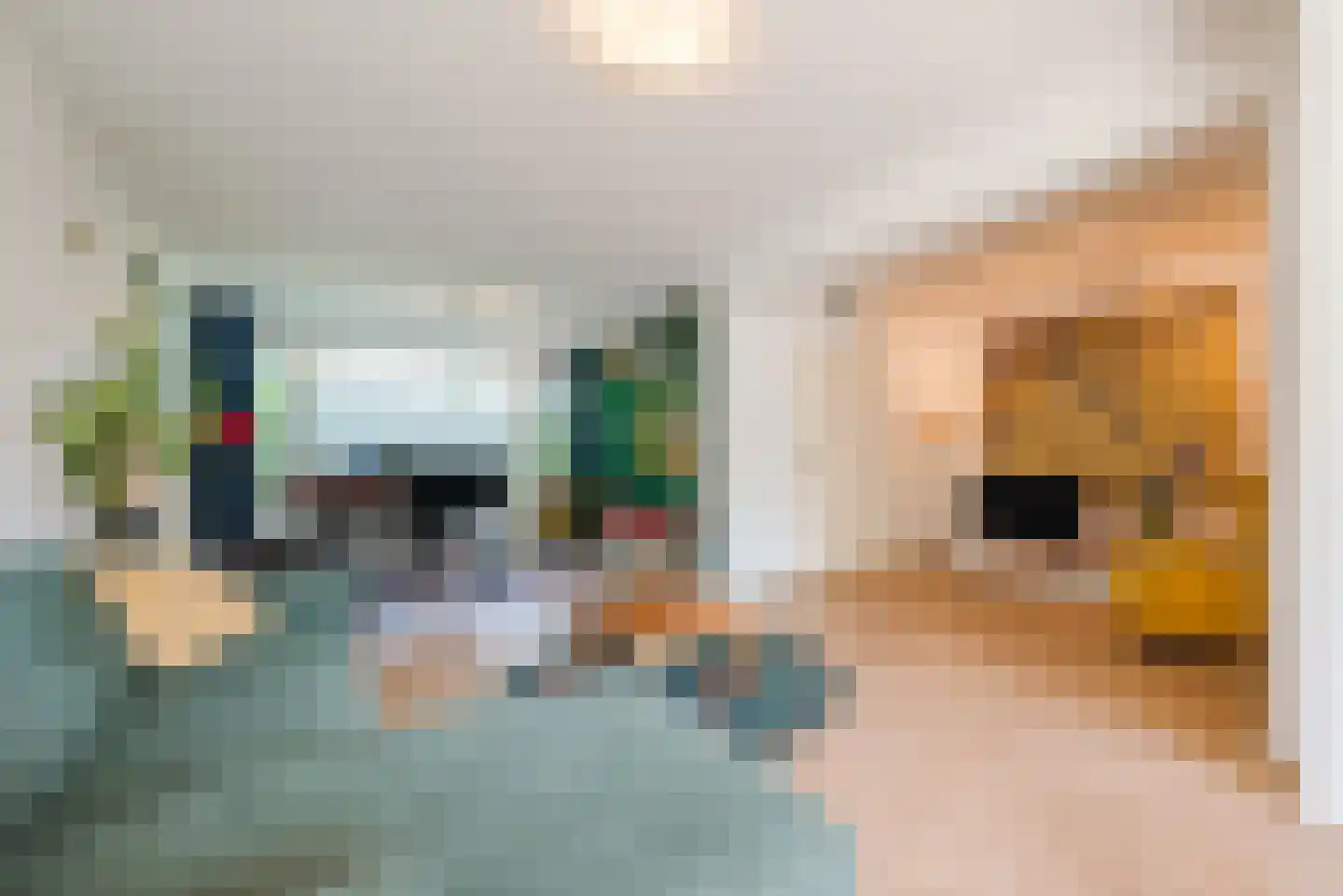 Hulstbosakker 67 Eindhoven thumbnail 9