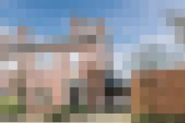 Hulstelaar 2 Veghel thumbnail 11