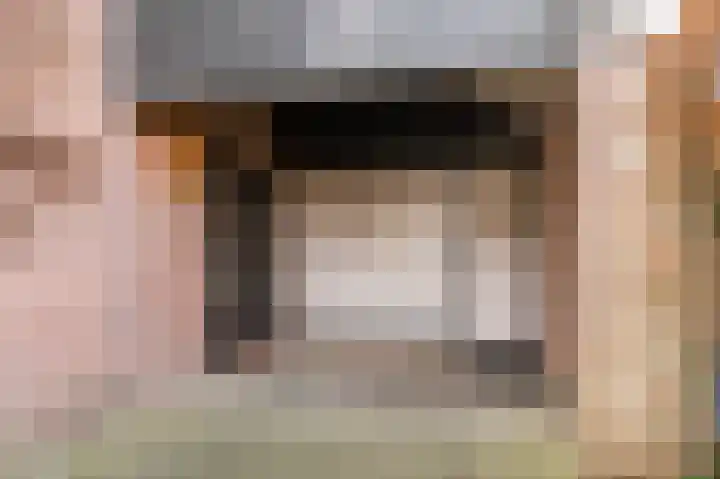 Hulstelaar 2 Veghel thumbnail 12