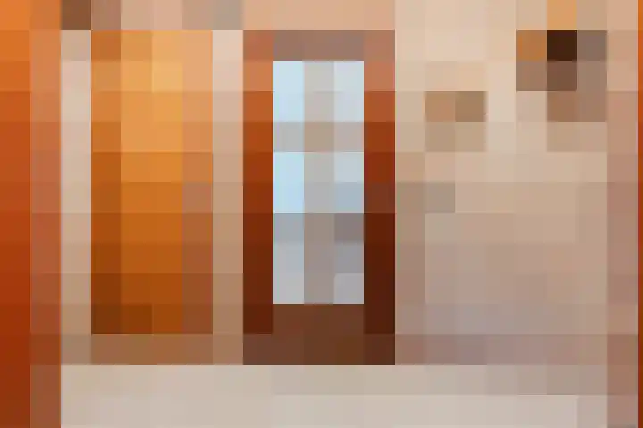 Hulstelaar 2 Veghel thumbnail 13