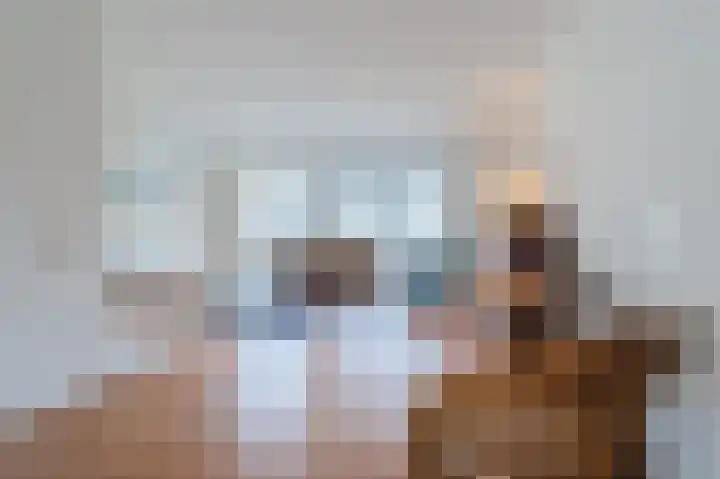 Hulstelaar 2 Veghel thumbnail 15