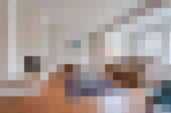 Hulstelaar 2 Veghel thumbnail 16