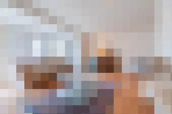 Hulstelaar 2 Veghel thumbnail 17