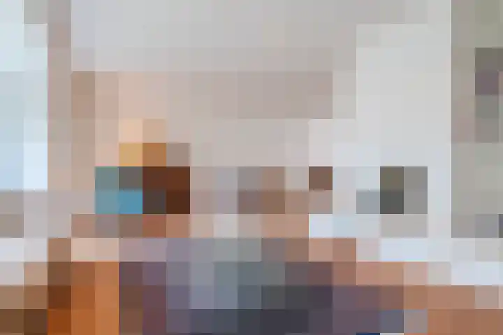 Hulstelaar 2 Veghel thumbnail 18