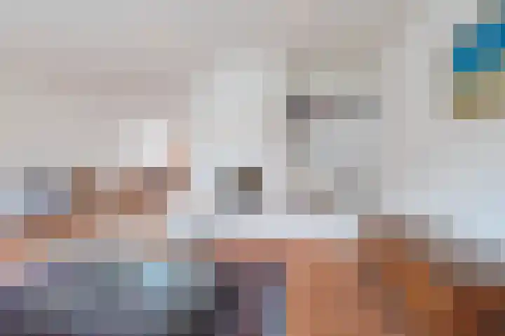 Hulstelaar 2 Veghel thumbnail 19