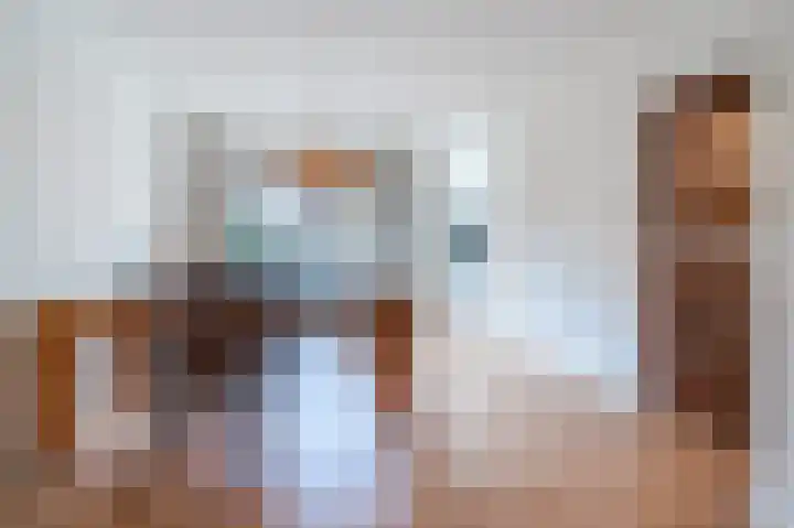 Hulstelaar 2 Veghel thumbnail 21