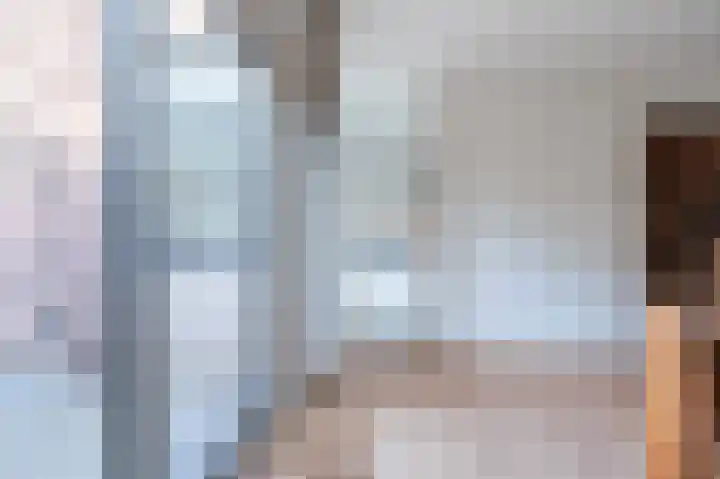 Hulstelaar 2 Veghel thumbnail 23