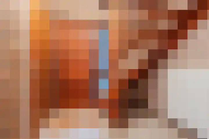 Hulstelaar 2 Veghel thumbnail 29