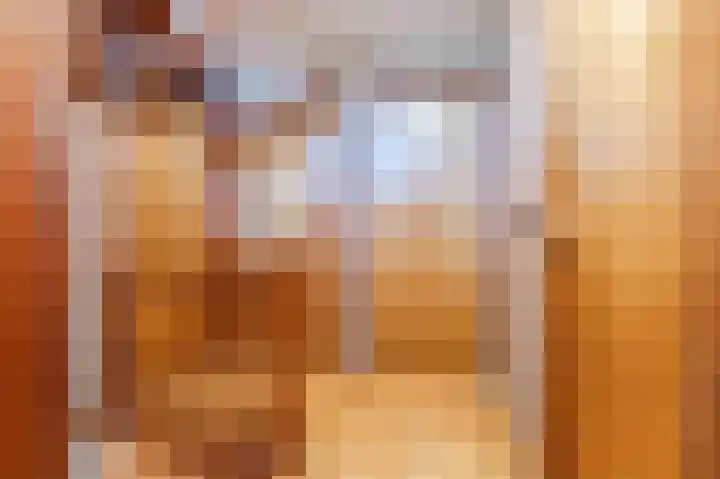 Hulstelaar 2 Veghel thumbnail 31