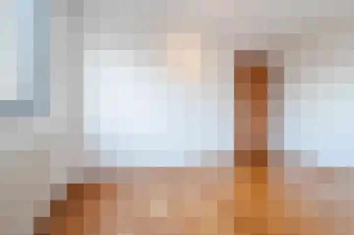 Hulstelaar 2 Veghel thumbnail 35