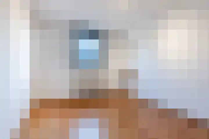 Hulstelaar 2 Veghel thumbnail 36