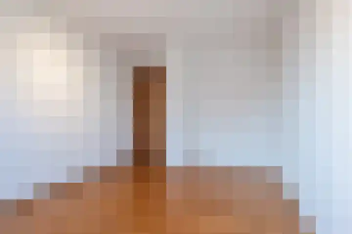 Hulstelaar 2 Veghel thumbnail 37