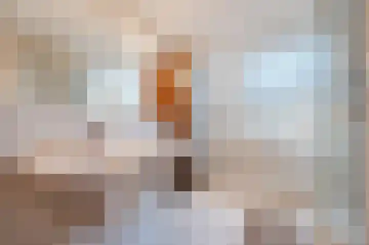 Hulstelaar 2 Veghel thumbnail 39