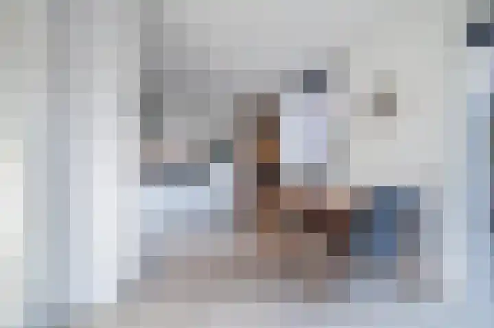Hulstelaar 2 Veghel thumbnail 4