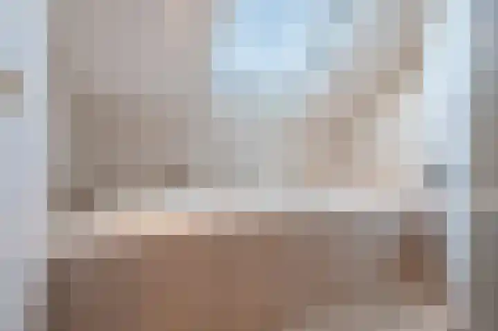 Hulstelaar 2 Veghel thumbnail 40