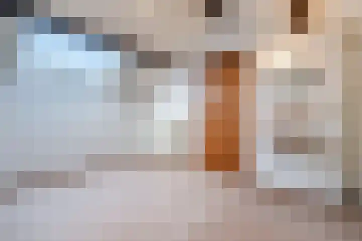 Hulstelaar 2 Veghel thumbnail 46