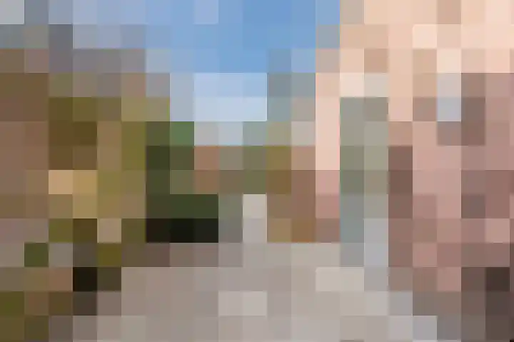 Hulstelaar 2 Veghel thumbnail 48