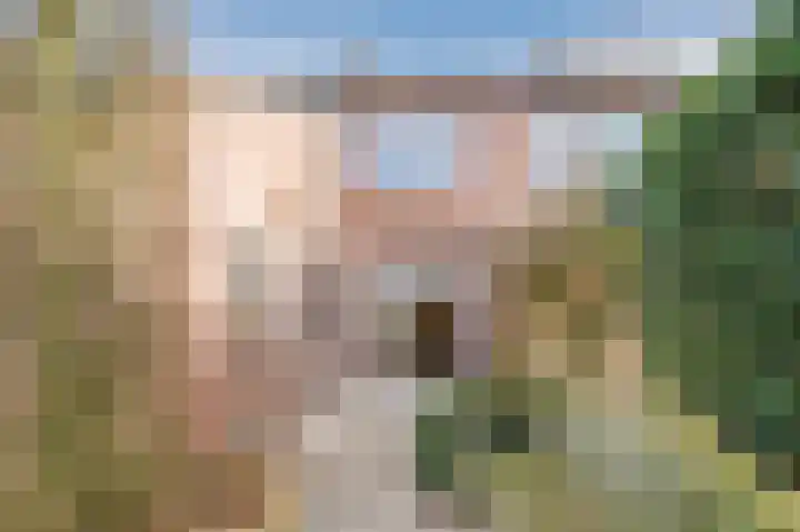 Hulstelaar 2 Veghel thumbnail 49