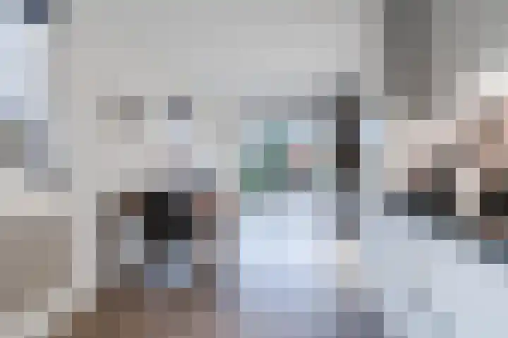 Hulstelaar 2 Veghel thumbnail 5