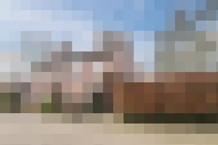 Hulstelaar 2 Veghel thumbnail 59