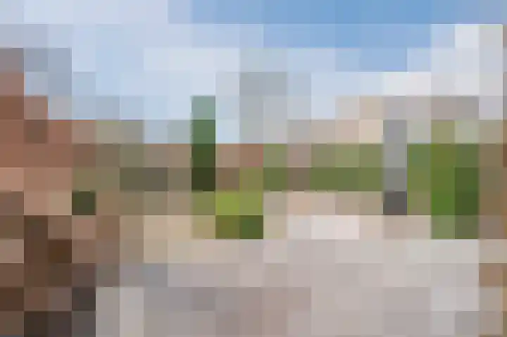 Hulstelaar 2 Veghel thumbnail 6