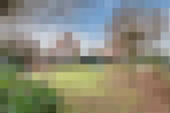 Hulstelaar 2 Veghel thumbnail 60