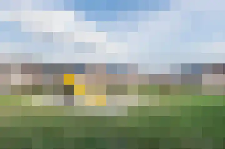 Hulstelaar 2 Veghel thumbnail 61