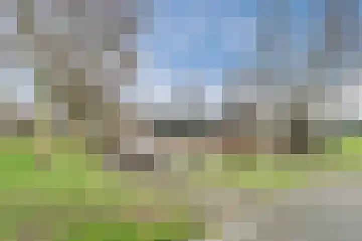 Hulstelaar 2 Veghel thumbnail 63