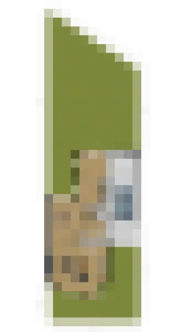 Hulstelaar 2 Veghel thumbnail 64