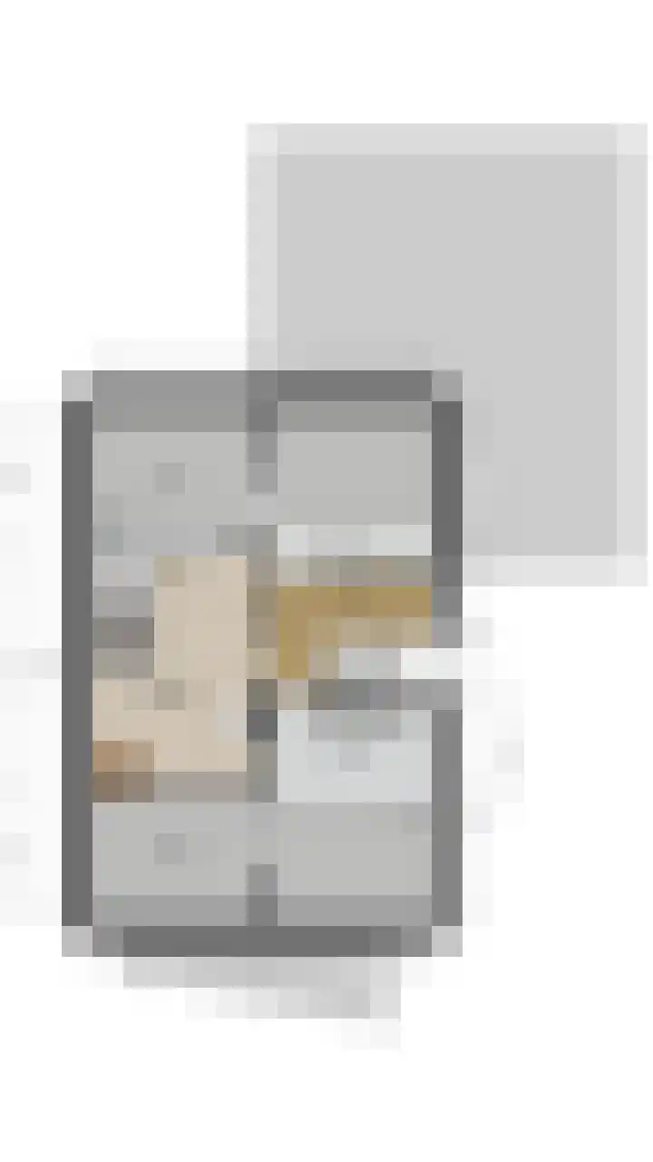 Hulstelaar 2 Veghel thumbnail 67
