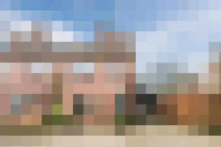 Hulstelaar 2 Veghel thumbnail 9