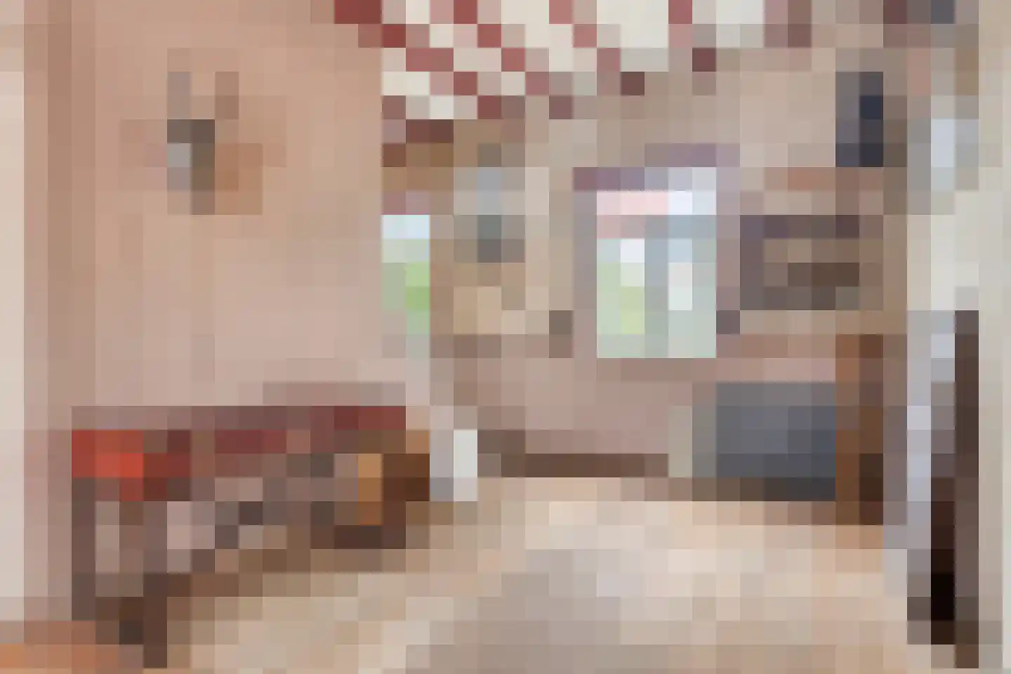 Hulsterloostraat 121 Nieuw Namen thumbnail 10