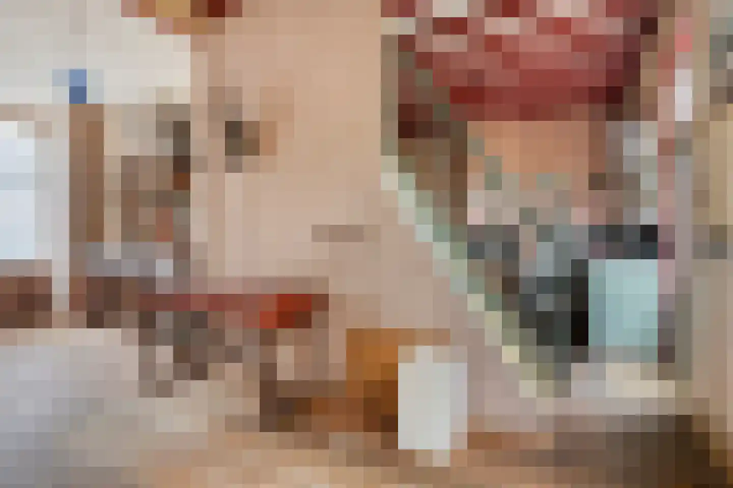 Hulsterloostraat 121 Nieuw Namen thumbnail 11