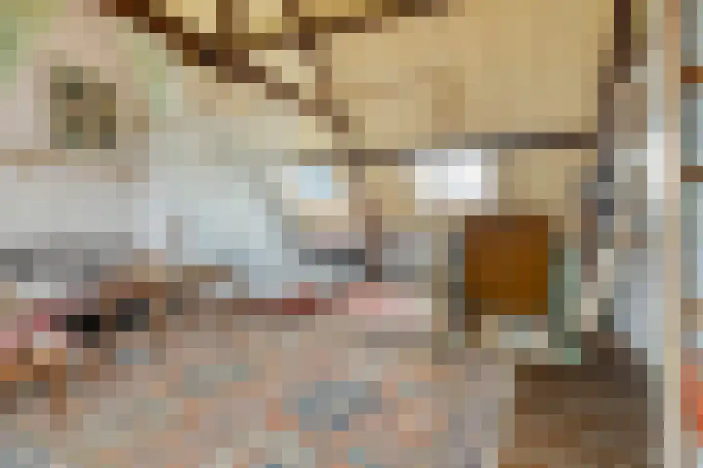 Hulsterloostraat 121 Nieuw Namen thumbnail 19