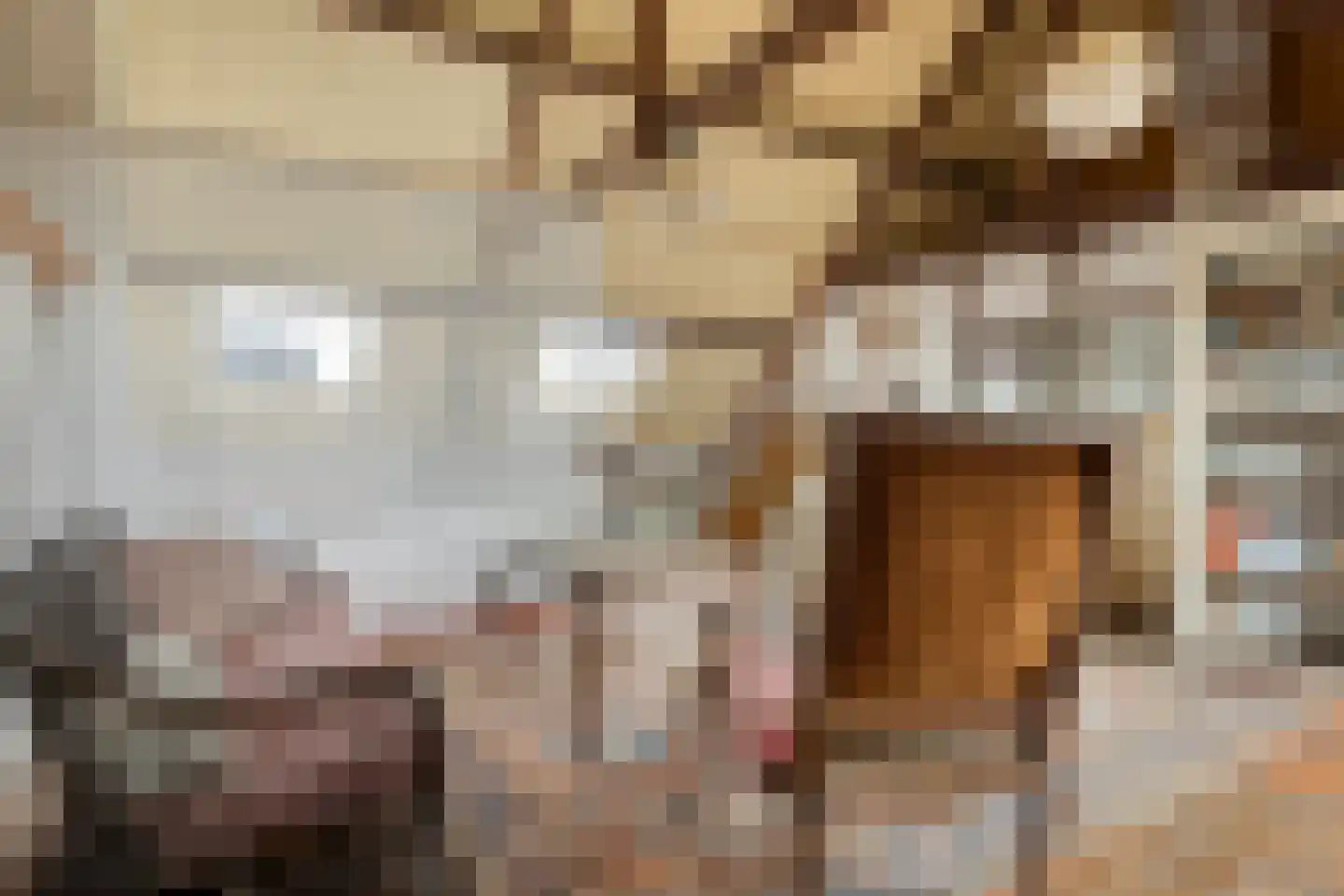 Hulsterloostraat 121 Nieuw Namen thumbnail 20